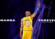 开云官网-总决赛之夜，霍勒迪的稳定哲学，当喧嚣归于沉寂，他依然在输出