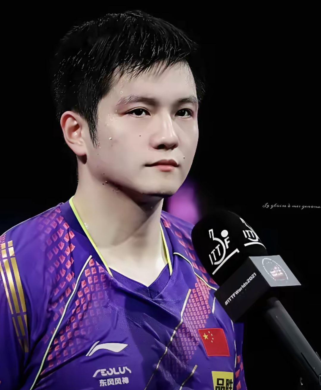 中国乒乓球队强势韩国乒乓球队，樊振东制霸全场的简单介绍