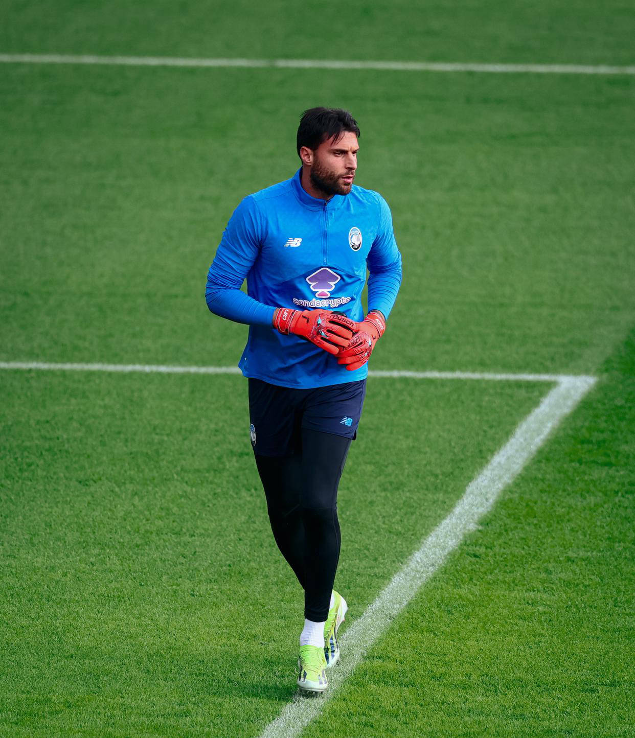 维罗纳在进攻端演绎出精彩的比赛的简单介绍