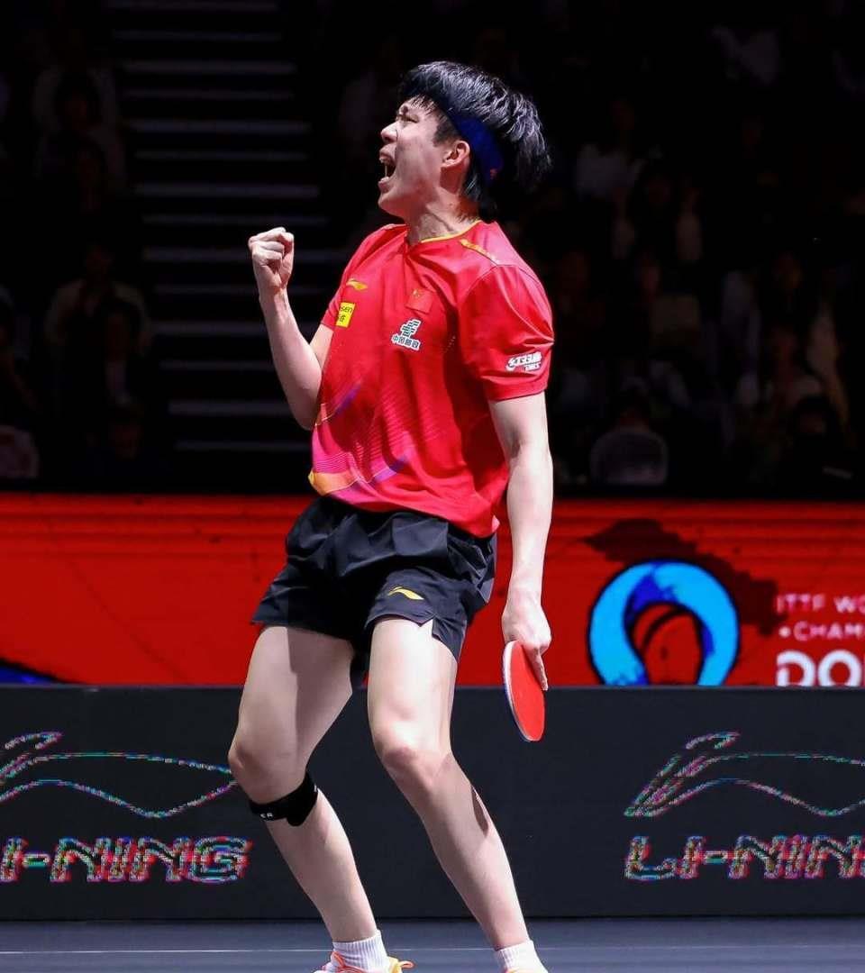 法国乒乓球队绝地反击奥地利乒乓球队，王皓送出助攻的简单介绍