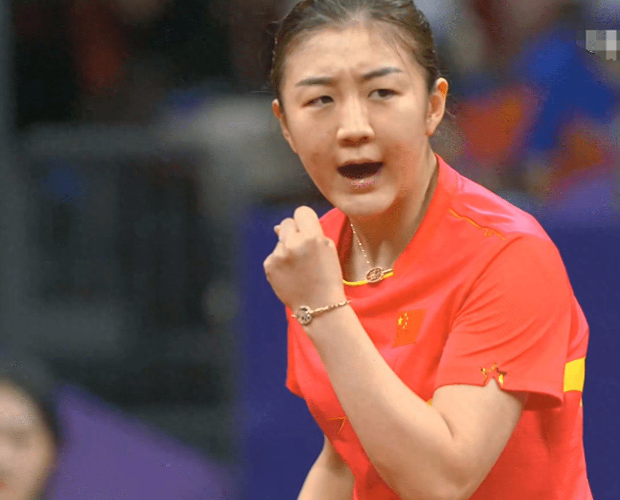 韩国队绝杀印尼队，马琳惊艳四座的简单介绍